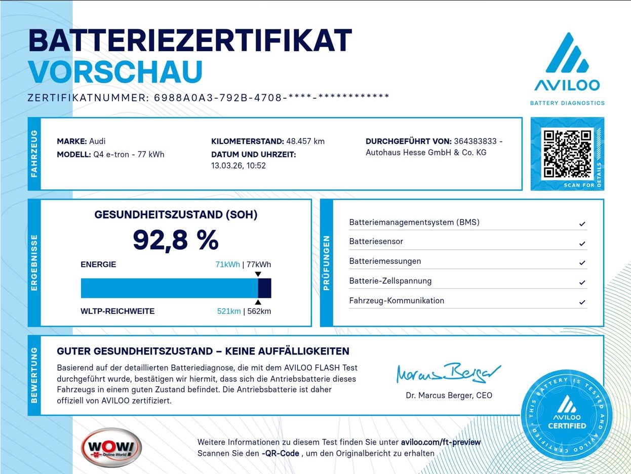 Fahrzeugbild_9