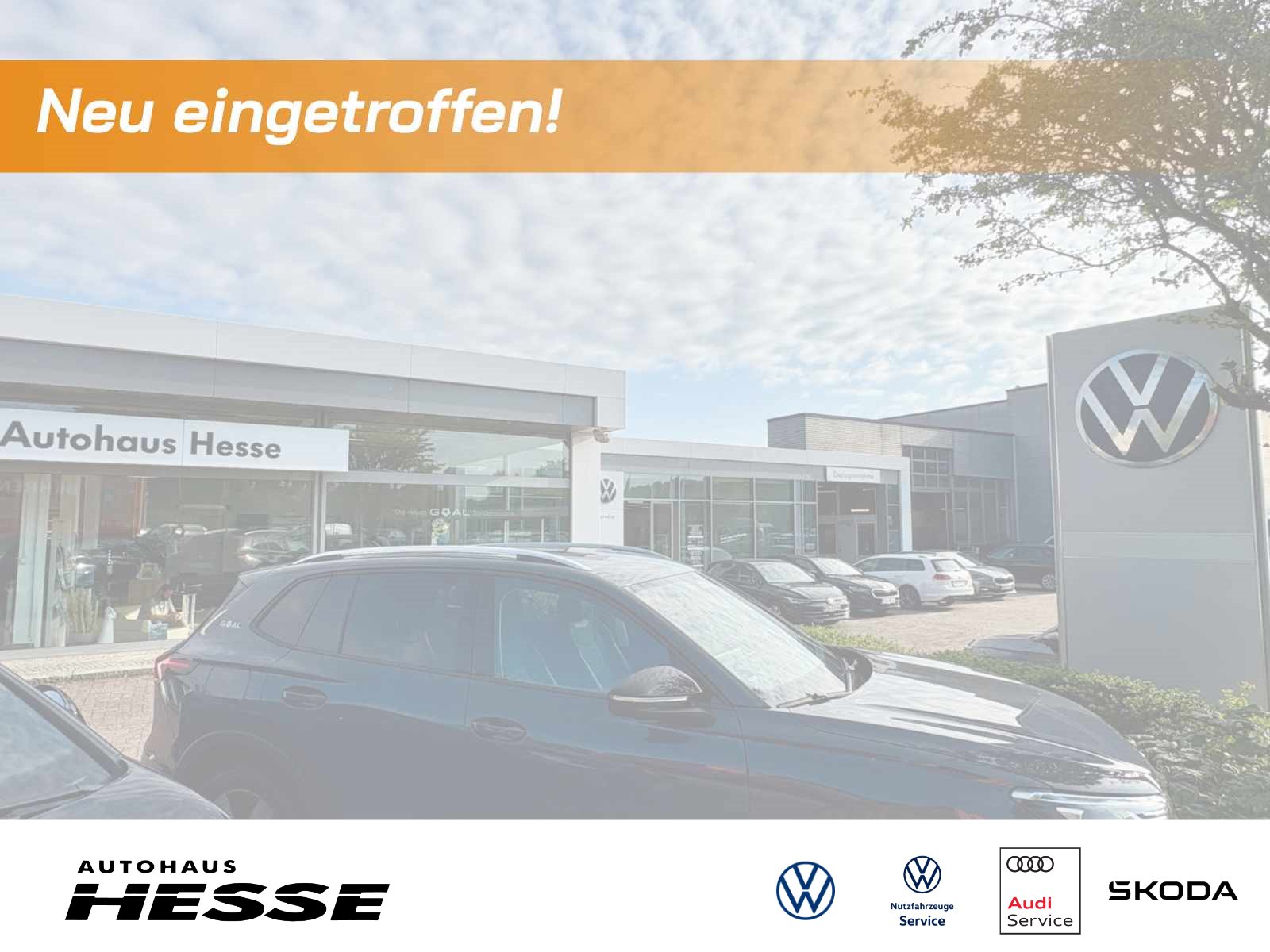 VW - Golf VIII 1.5 eTSI Energy DSG, LED AHK RFK Navi_1